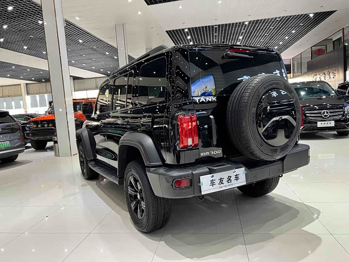 Фото 12 - Tank 300