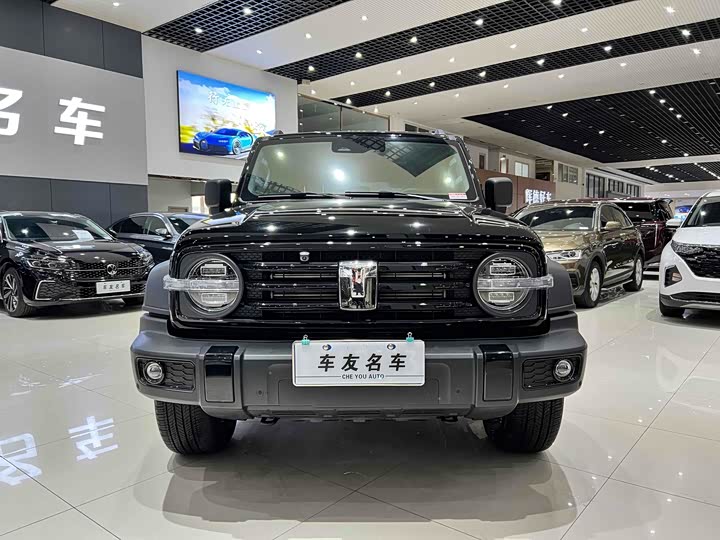 Фото 2 - Tank 300