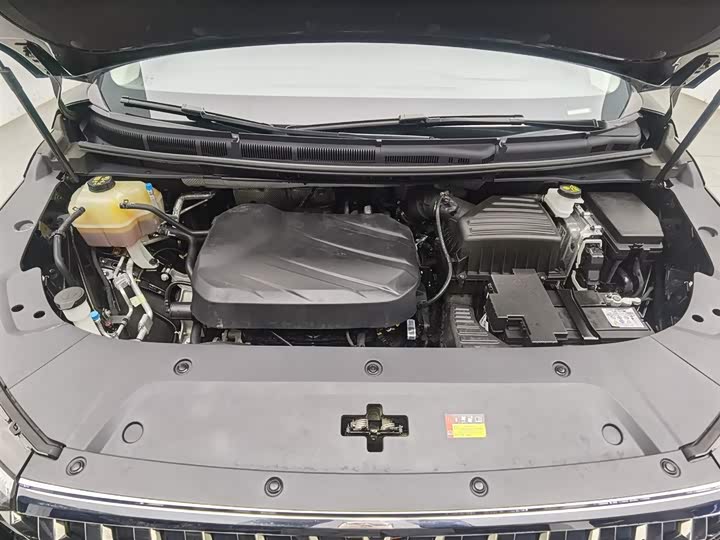 Фото 6 - Maxus G90