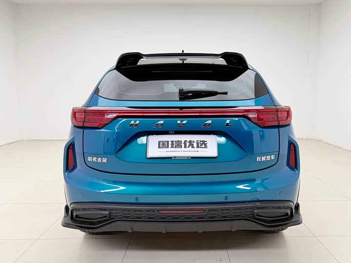 Фото 5 - Haval Chitu