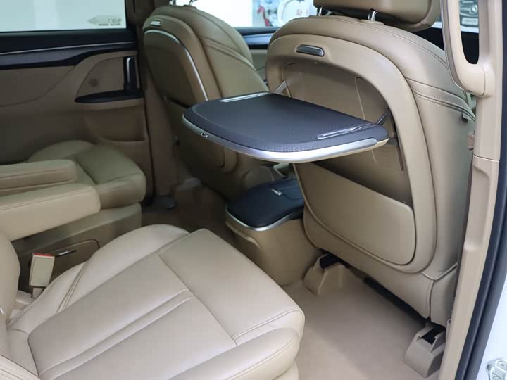 Фото 10 - Buick GL8 ES