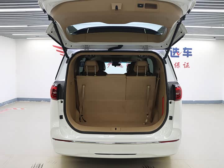 Фото 19 - Buick GL8 ES