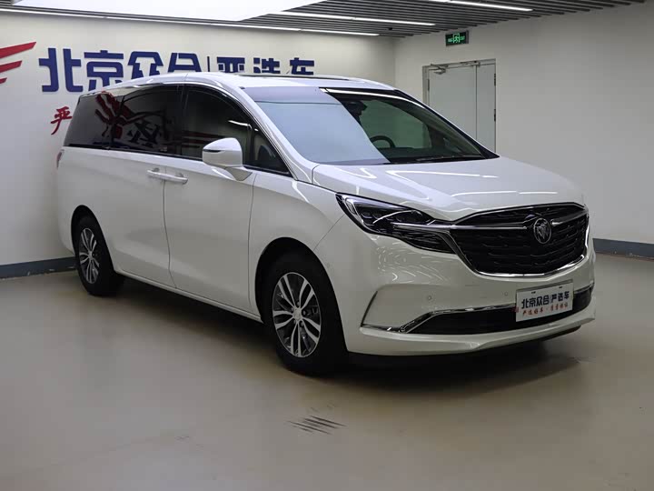 Фото 2 - Buick GL8 ES