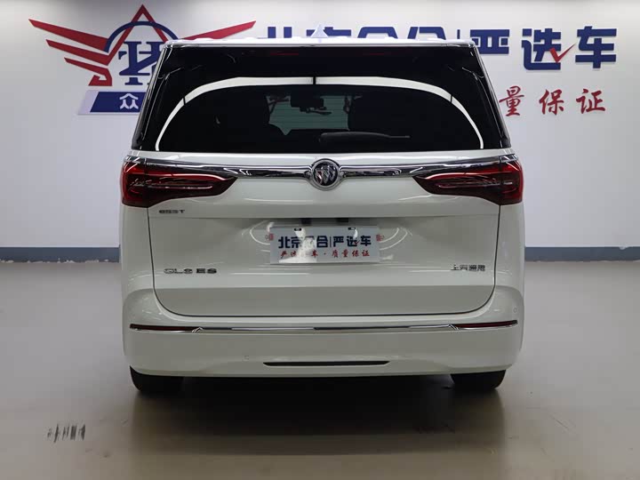 Фото 20 - Buick GL8 ES