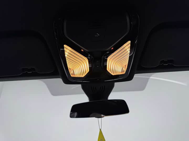 Фото 38 - BMW X6