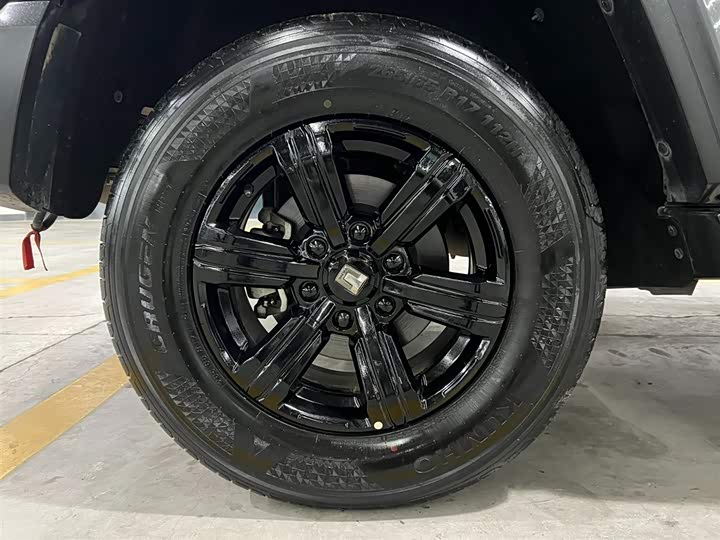 Фото 21 - Tank 300