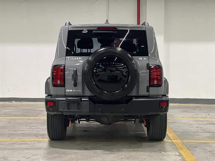 Фото 6 - Tank 300