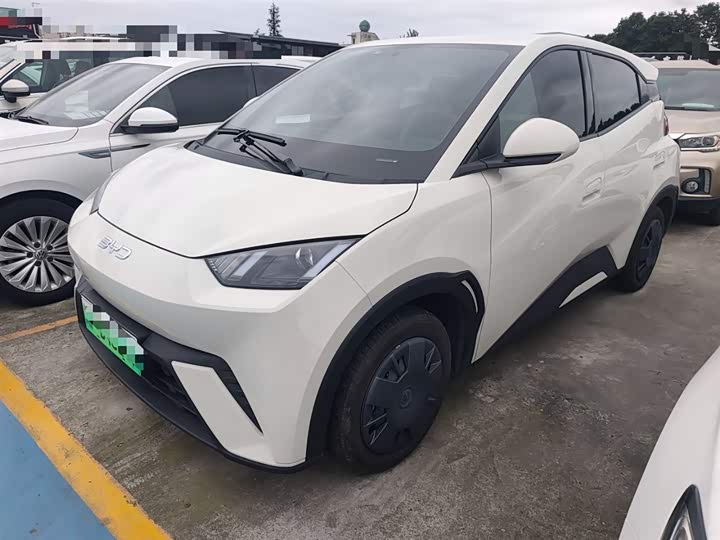 Фото 2 - BYD Seagull