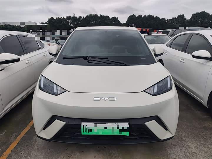 Фото 3 - BYD Seagull