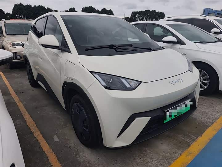 Фото 4 - BYD Seagull