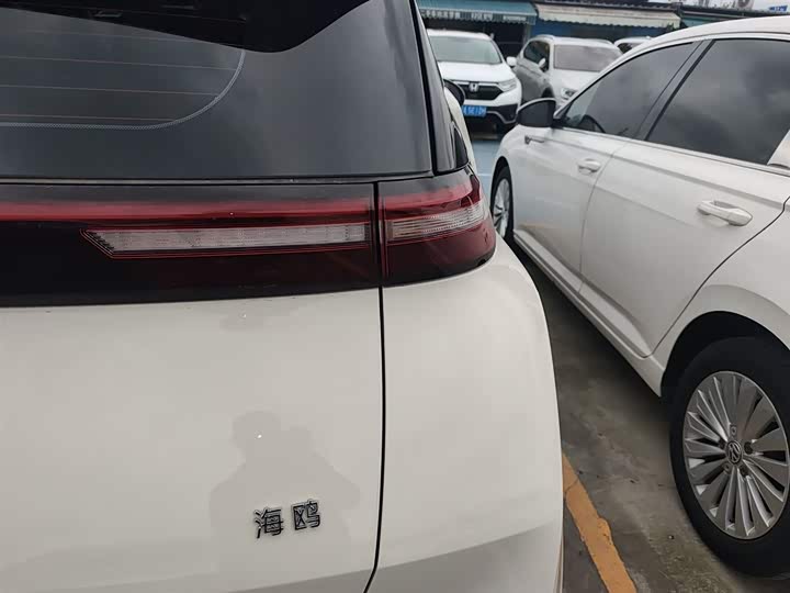 Фото 8 - BYD Seagull