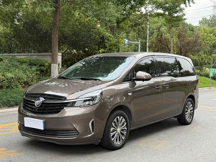 Фото 1 - Buick GL8 ES