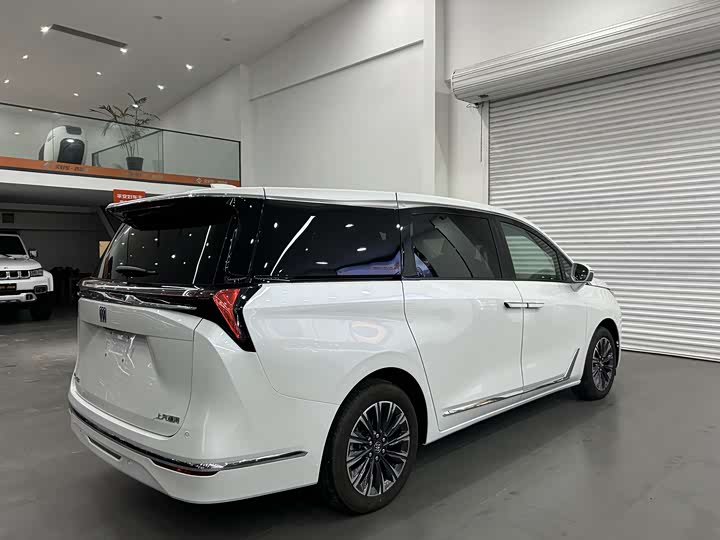 Фото 3 - Buick GL8 ES