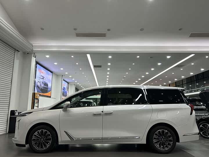 Фото 5 - Buick GL8 ES