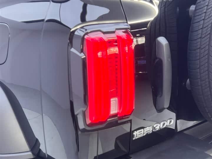 Фото 10 - Tank 300