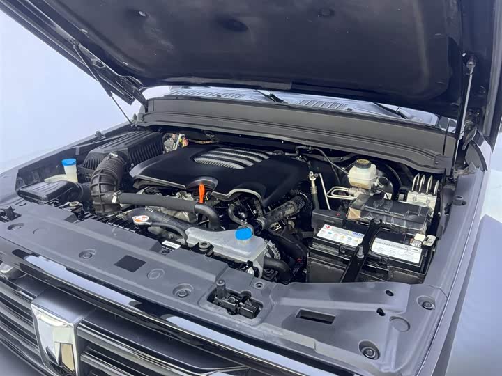 Фото 26 - Tank 300