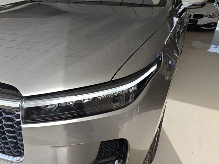 Фото 7 - LiXiang One