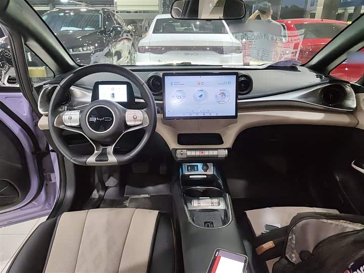 Фото 10 - BYD Dolphin