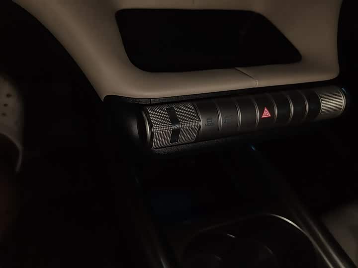 Фото 14 - BYD Dolphin