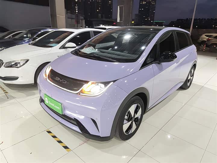 Фото 2 - BYD Dolphin