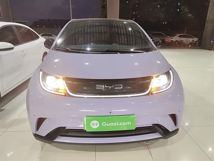 Фото 3 - BYD Dolphin