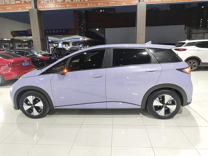 Фото 5 - BYD Dolphin