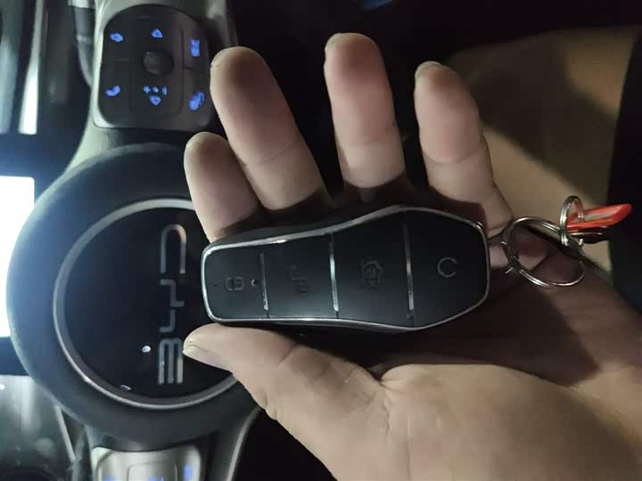 Фото 9 - BYD Dolphin