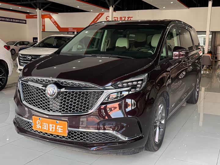 Фото 1 - Buick GL8 ES