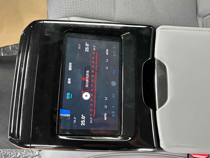 Фото 7 - Voyah Passion