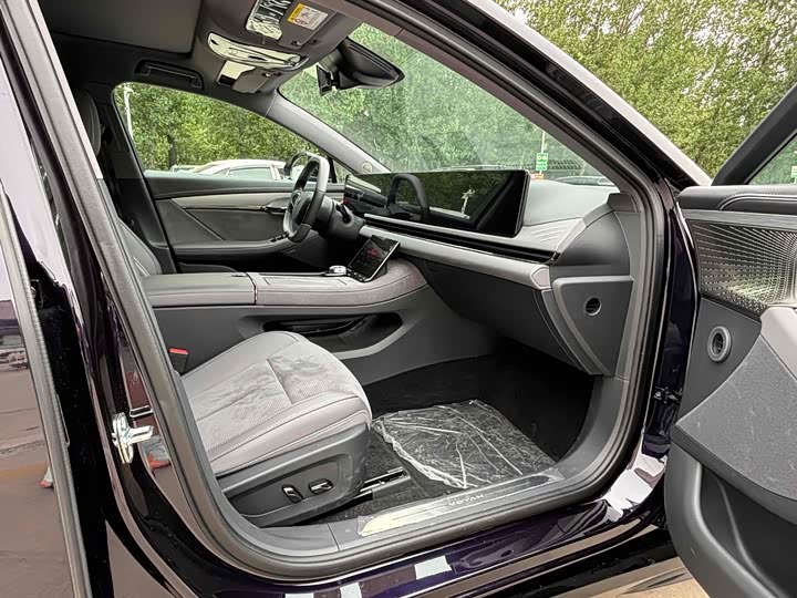 Фото 8 - Voyah Passion