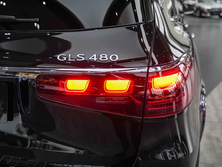 Фото 21 - Mercedes-Benz Maybach GLS