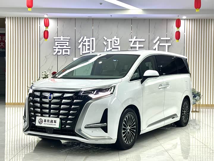 Фото 1 - Denza D9