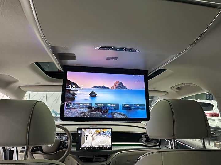 Фото 13 - Denza D9