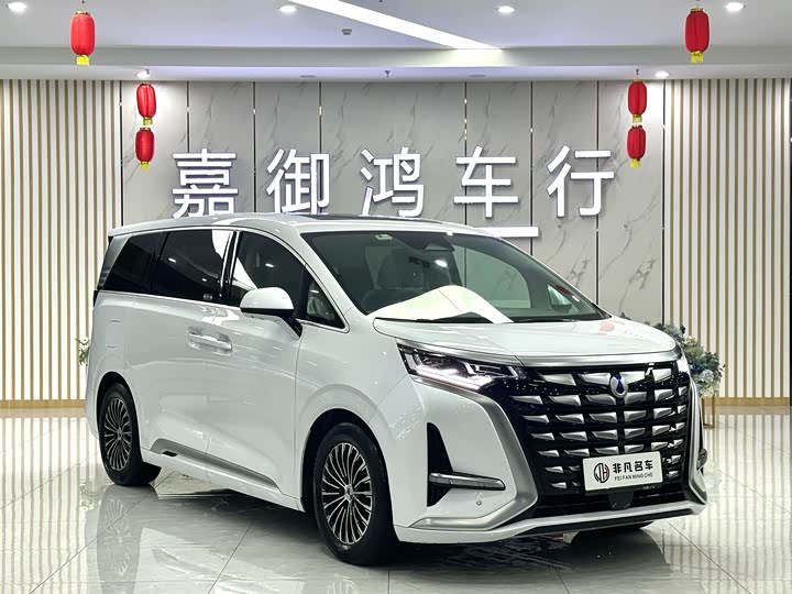 Фото 2 - Denza D9