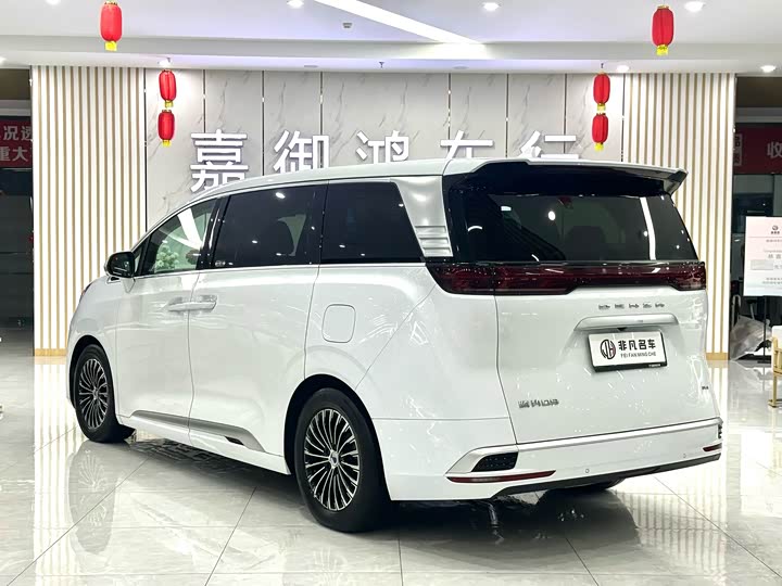 Фото 5 - Denza D9