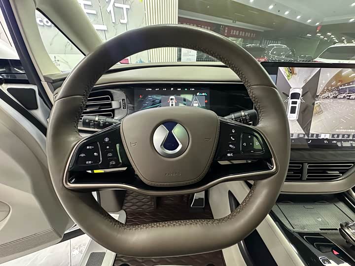 Фото 9 - Denza D9