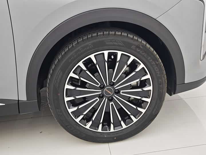 Фото 29 - Exeed RX C-DM Hybrid