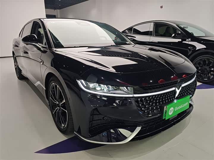 Фото 3 - Voyah Passion