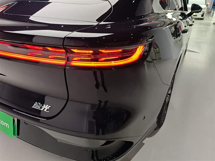 Фото 7 - Voyah Passion