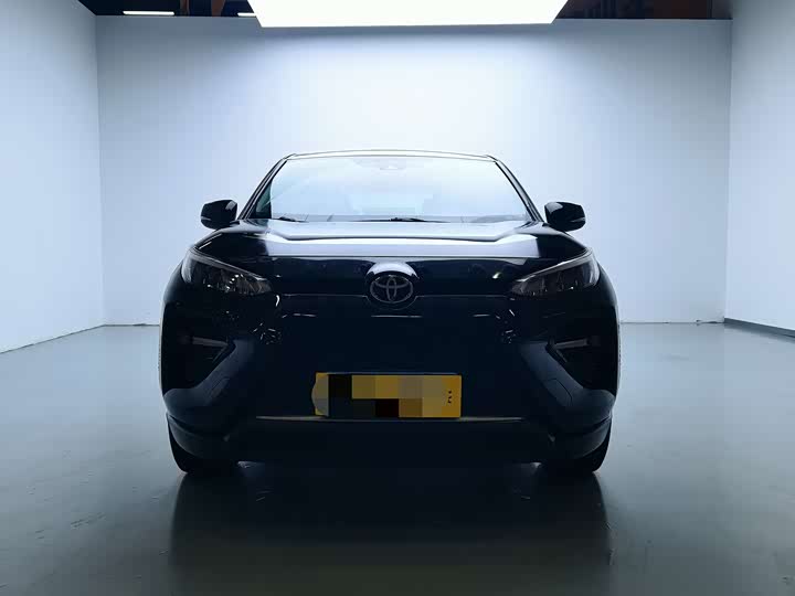 Фото 2 - Toyota Wildlander