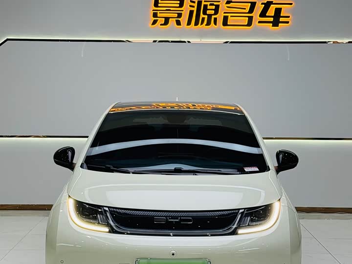 Фото 2 - BYD Dolphin
