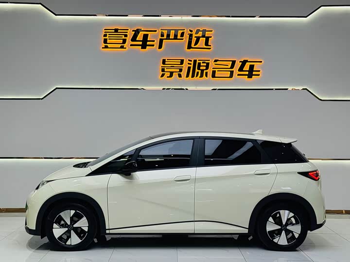 Фото 3 - BYD Dolphin