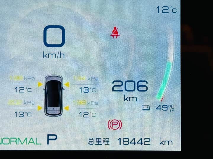 Фото 6 - BYD Dolphin