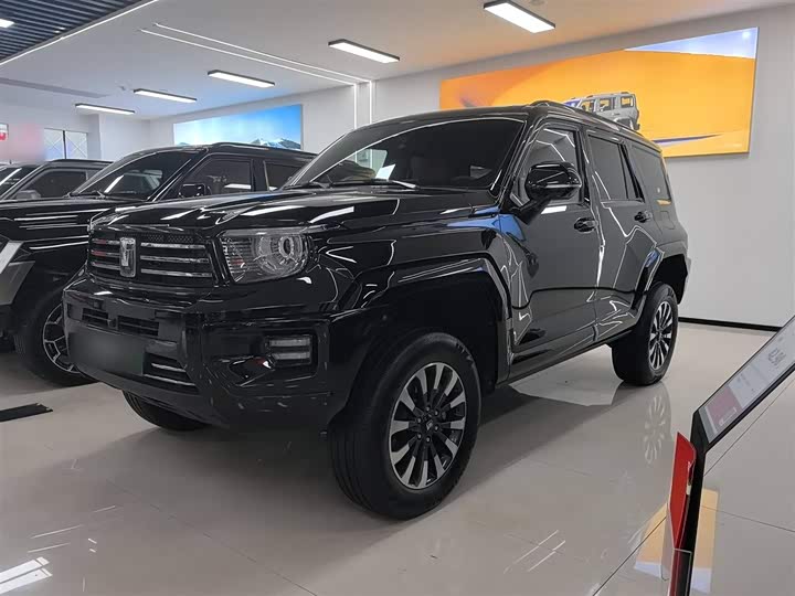 Фото 2 - Tank 700 Hybrid