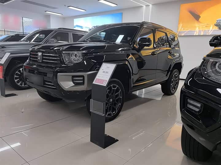 Фото 8 - Tank 700 Hybrid