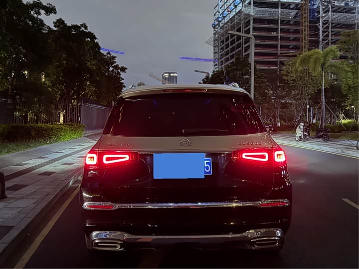 Фото 4 - Mercedes-Benz Maybach GLS