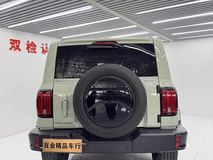 Фото 9 - Tank 300