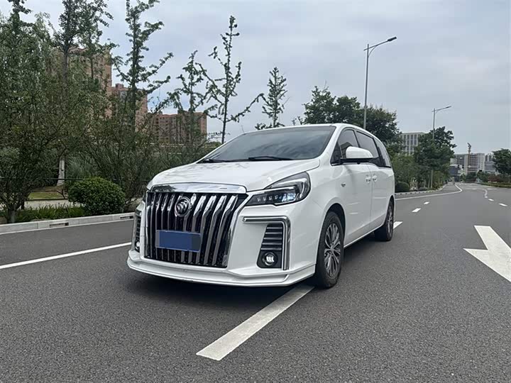 Фото 1 - Buick GL8 ES