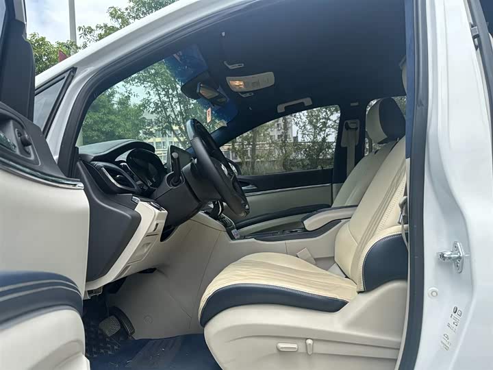 Фото 4 - Buick GL8 ES