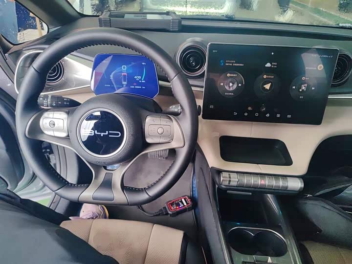 Фото 10 - BYD Dolphin